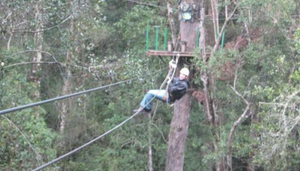 Surges of Adrenalin along the Garden Route