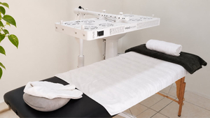 The Wellness Boutique