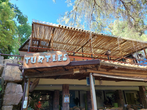 Turtle's Restaurant