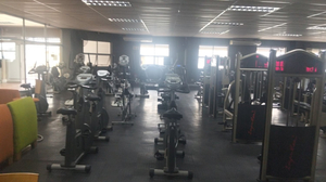 Wellness World Gym