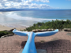 Whale Tail Lookout Point