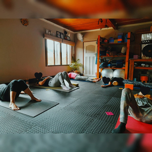 Wholesome Yoga Therapy & Acupuncture