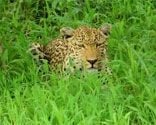 Top Ten Attractions in Garden Route