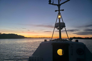 Gdańsk: Sunset Cruise on the Bay and Martwa Wisła River