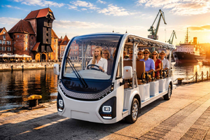 Gdańsk : visite citadine en voiturette de golf en groupe privé avec un guide de la région