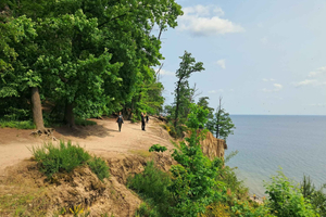 wycieczka piesza z przewodnikiem po lesie, klifach i plaży