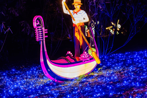 Gdynia: Garden of Lights Entry Ticket
