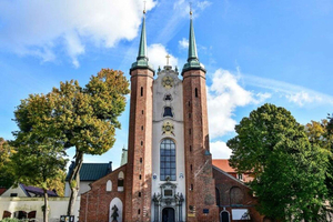 Gdansk: privéwandeling oude stad & Kathedraal van Oliwa vanuit Gdynia