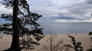 Plaża Gdynia