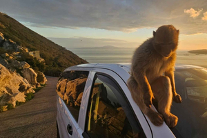 Classic Rock Tour with Nature Reserve Entry