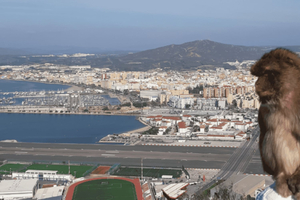 Gibraltar : Tour guidé depuis la Costa Del Sol