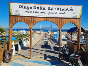 Dalia Beach tangier