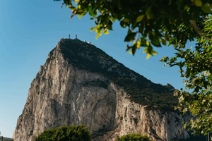 Vanuit Malaga en Costa del Sol: tour naar Gibraltar