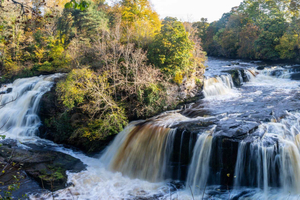 Hike World Heritage Reserve Waterfalls