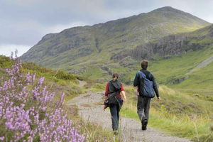 Private Highlands Tour: Callander, Glen Coe & Highland Cows