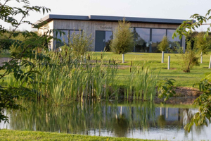 South Lanarkshire: Tea Tour with Tasting and Afternoon Tea