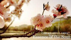 Essence Of The Soul