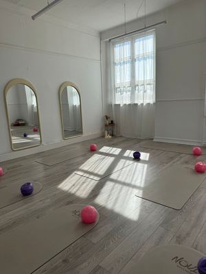 Novi Pilates & Wellness Studio