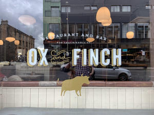 Ox and Finch