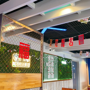 Peko Panda Fusion Kitchen