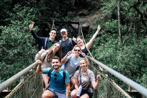 Brisbane: Dagstur med 6 vandfald, koalaer og Natural Bridge