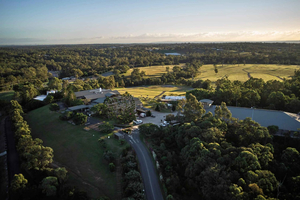 Brisbane: helikoptertransfer naar wijnmakerij