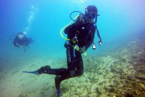 Gold Coast: Curso PADI Open Water de 3 dias