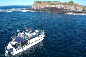 Gold Coast: Immersione nella Riserva Marina dell'Isola di Cook