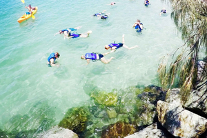 Gold Coast: Kayaking & Snorkelling Tour with Fish Feeding