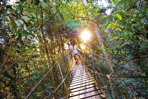 Lamington National Park & Tree Top Walkway
