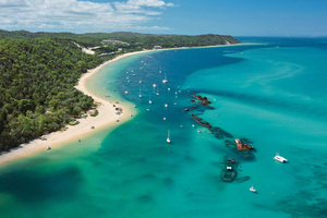 Moreton Island: Tangalooma dagsutflykt med ökensafari