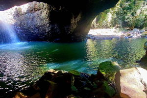 privétour naar de Springbrook-watervallen en het regenwoud