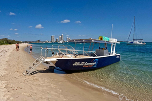 Surfers Paradise to Wavebreak Island Pelican Cruise + Picnic
