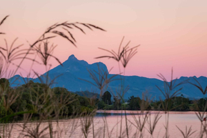 Tweed River: Sunset Cruise with Live Music and Grazing Box