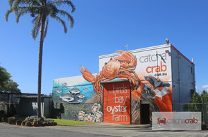 Catch A Crab