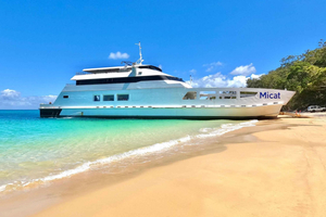 From Brisbane: Moreton Island Full-Day Trip