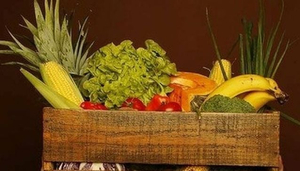 Miami Mercado de Agricultores Orgânicos
