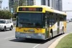 Ônibus, Trem e Transporte Público