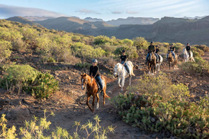 El Salobre: Horse Riding Adventure with Transfer Options