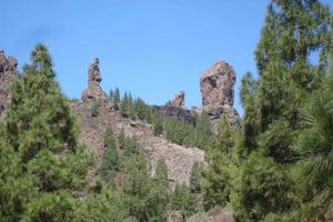 From Palmas: Pico de las Nieves & Roque Nublo Full-Day Trip
