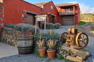 Fuerteventa: Ajuy Pirate Caves & Aloe Factory Half-Day Trip