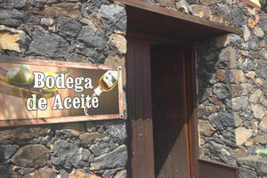 Excursão turística gastronômica em azeite, azeitonas, rum e bananas