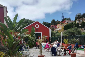 Gran Canaria: Winery Tour, Wine Museum, and Tasting