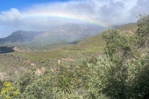 Senderismo Barranco de Guayadeque y Pueblo de Ingenio