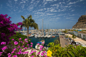 Half Day Puerto de Mogán Friday Market & Shopping Experience
