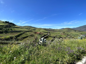 Barranco Valerón