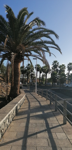 Cruce Faro