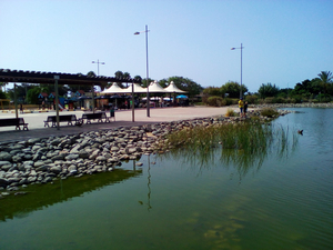 Cruce Sonnenland