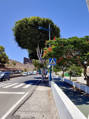 Ctra. Puerto De Las Nieves