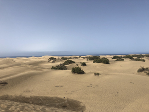 Dunas